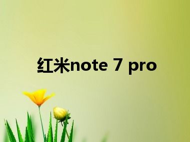 红米note 7 pro