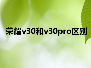 荣耀v30和v30pro区别