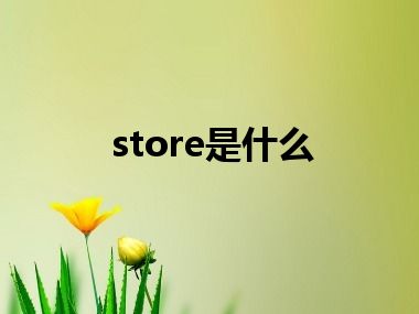 store是什么