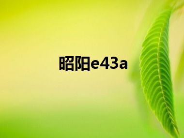 昭阳e43a