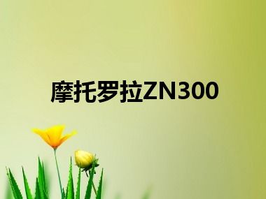 摩托罗拉ZN300