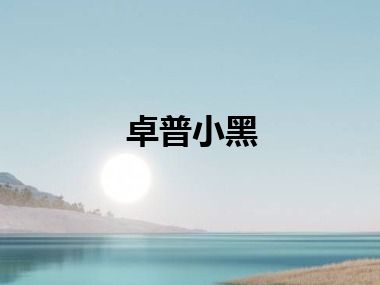 卓普小黑