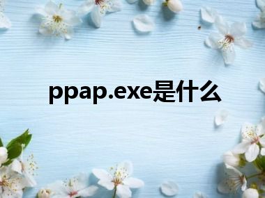 ppap.exe是什么