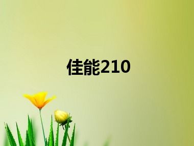 佳能210