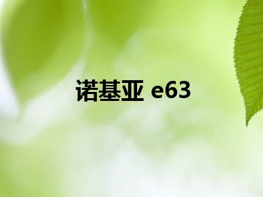 诺基亚 e63